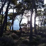 Διαμέρισμα In Near & Nature *
