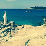 In Near & Nature *
