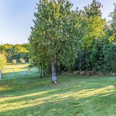 In Near & Nature Lejlighed *