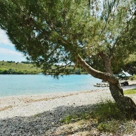 In Near & Nature * Banjole