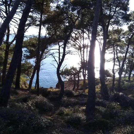 Apartman In Near & Nature *