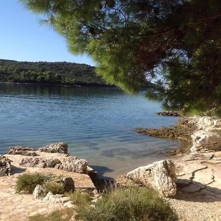 Apartman In Near & Nature