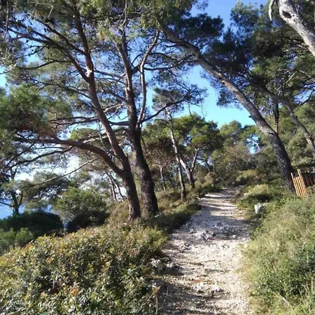 Apartman In Near & Nature