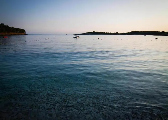 In Near & Nature Lejlighed