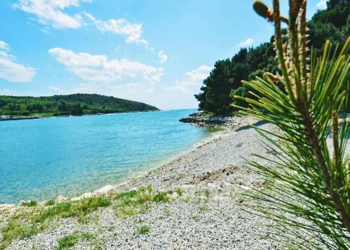 Lejlighed In Near & Nature *