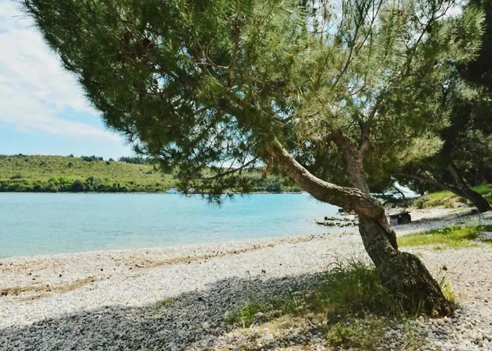 In Near & Nature * Banjole