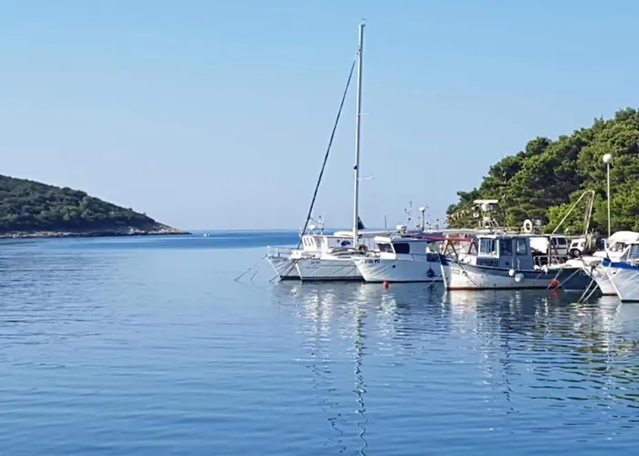 In Near & Nature * Banjole