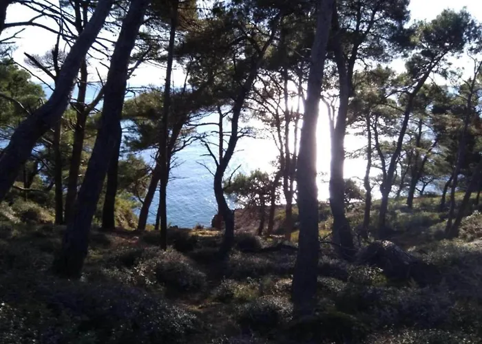 Lejlighed In Near & Nature *