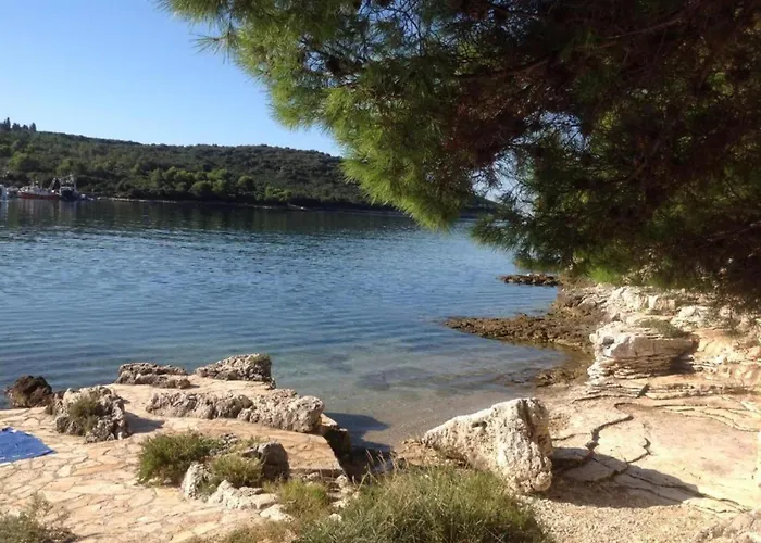 Lejlighed In Near & Nature