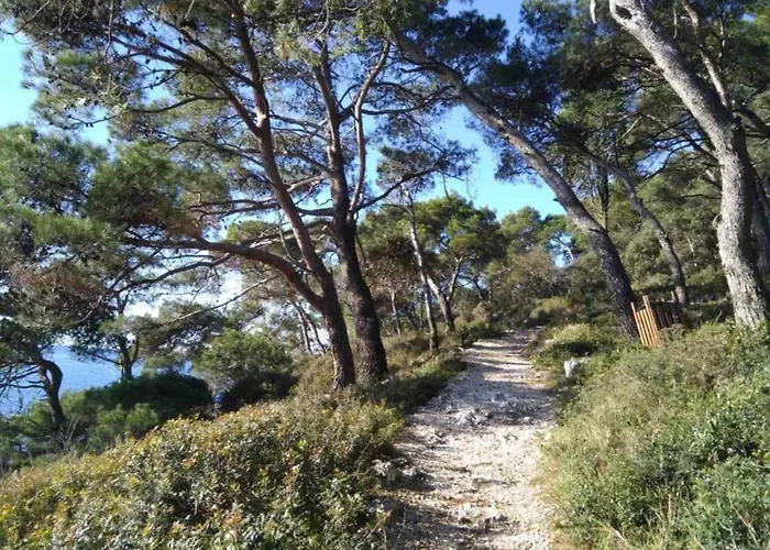 Lejlighed In Near & Nature